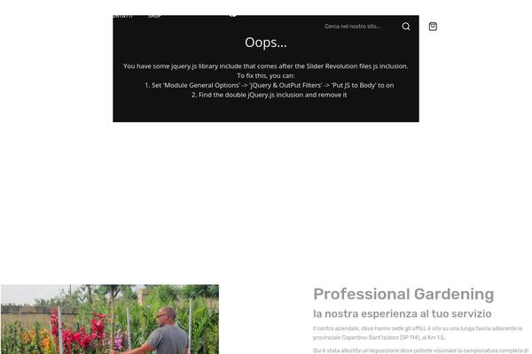 Site using Epic-gallery plugin