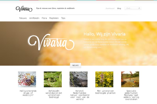 Boutique theme site design template sample