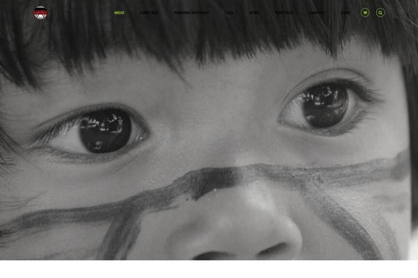 Miracle theme site design template sample