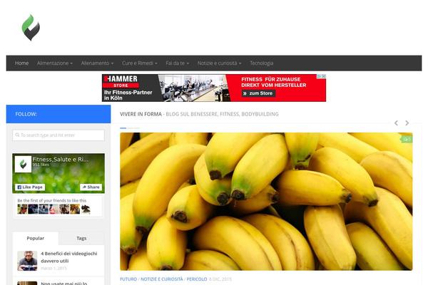 Hueman theme site design template sample