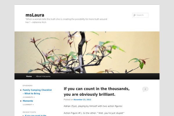 Site using Facebook AWD All in one plugin