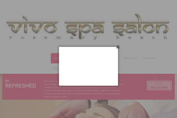 Spasalon theme site design template sample
