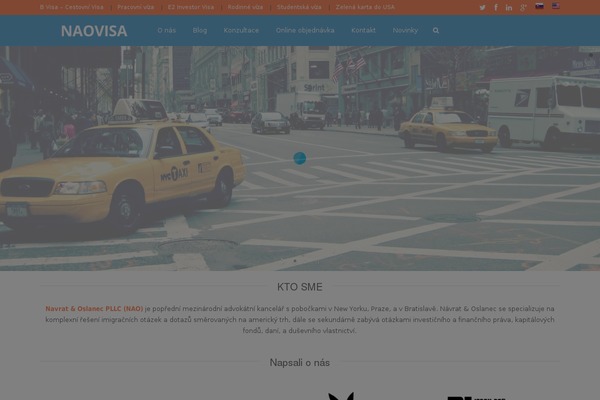 Vivacity theme site design template sample