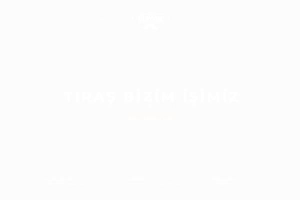 Modis theme site design template sample