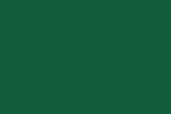 Site using Lead Call Buttons plugin