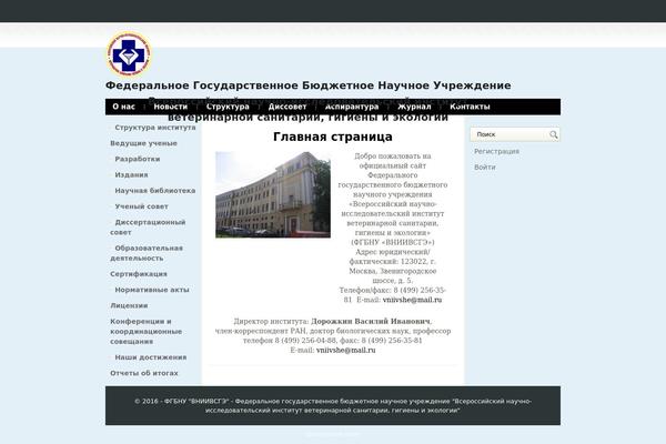 Libera theme site design template sample