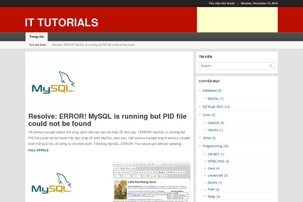 Local News theme site design template sample