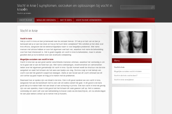Red Modern theme site design template sample