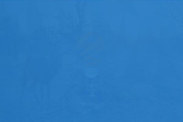 Site using Sreative-shortcodes plugin