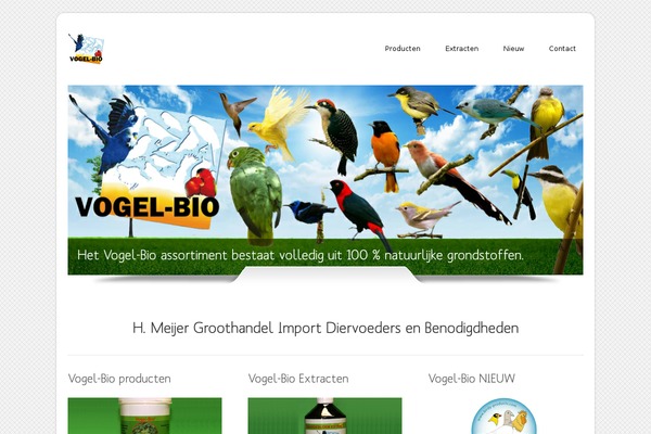 Dzonia Lite theme site design template sample