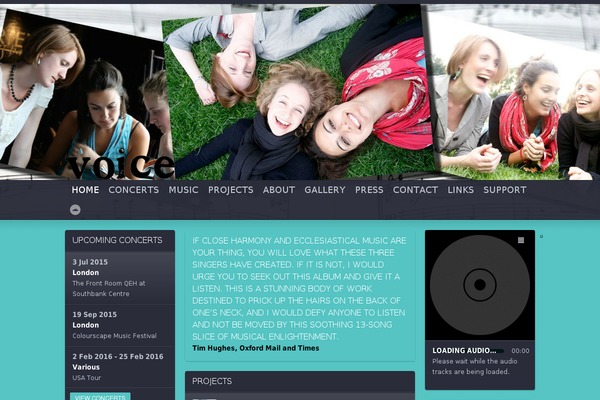 Soundcheck theme site design template sample