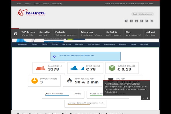 Infringe theme websites examples