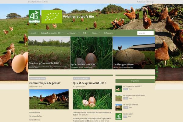 Extranews theme site design template sample