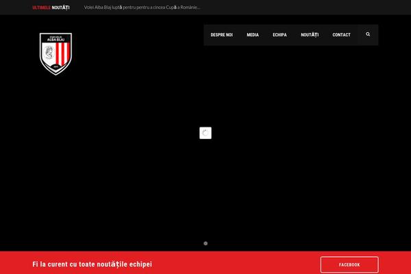 Splash-child theme site design template sample