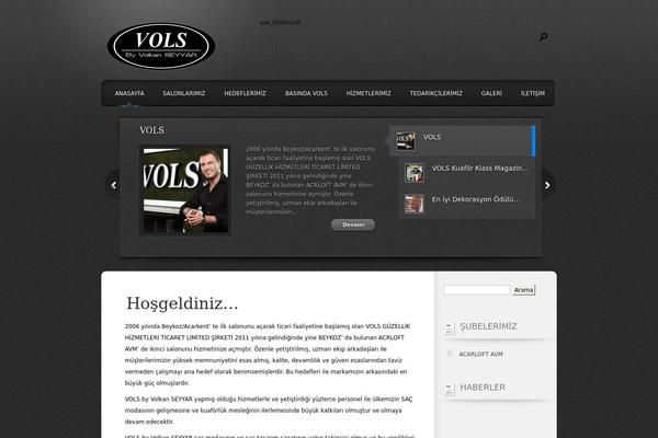 Polished theme site design template sample