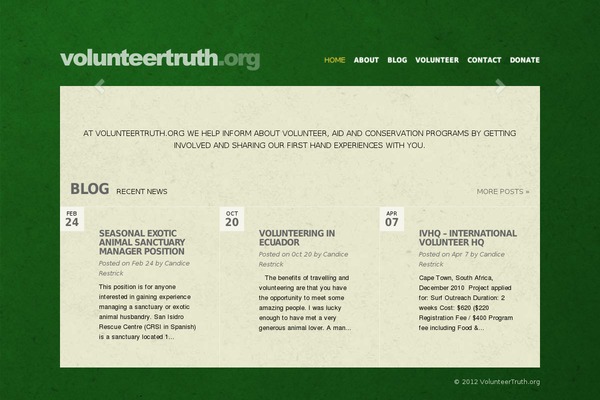 Flexible theme site design template sample