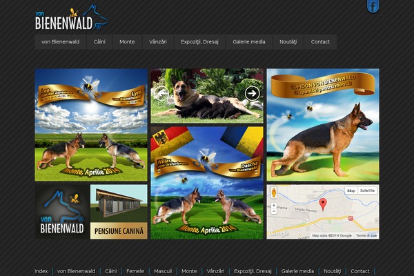 vonbienenwald.com site used Metro