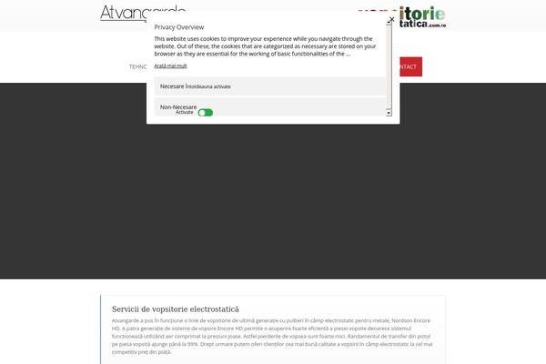 vopsitorie-electrostatica.com.ro site used Boson-child