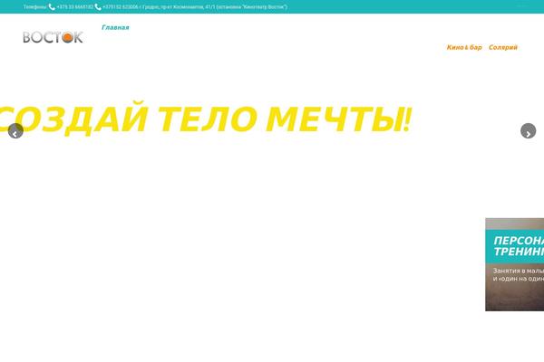 Fitness-wellness theme site design template sample