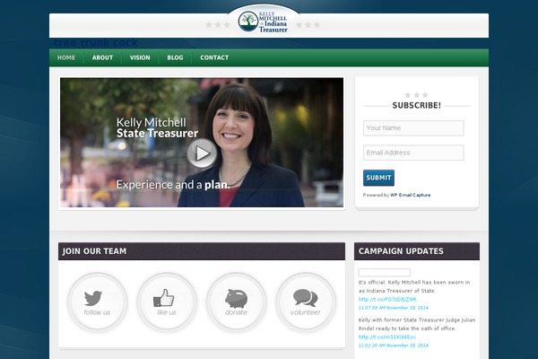 Politic theme site design template sample
