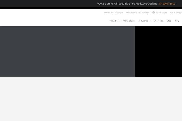inovision theme websites examples