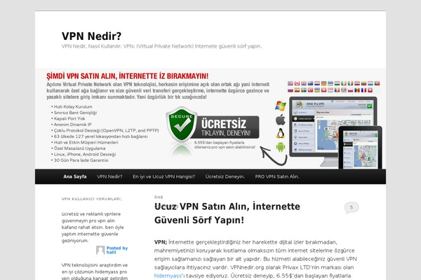 Twenty Eleven theme site design template sample