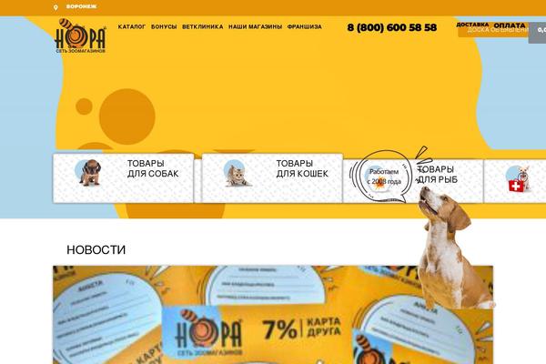 Site using Widget-options plugin