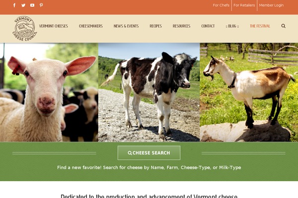 Site using Search & Filter plugin