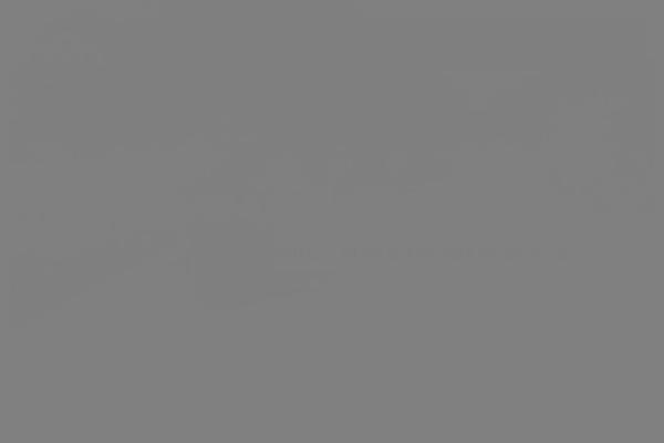 Site using Opal-widgets-for-elementor plugin