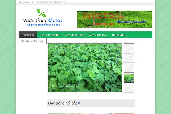 Site using Facebook Widget plugin