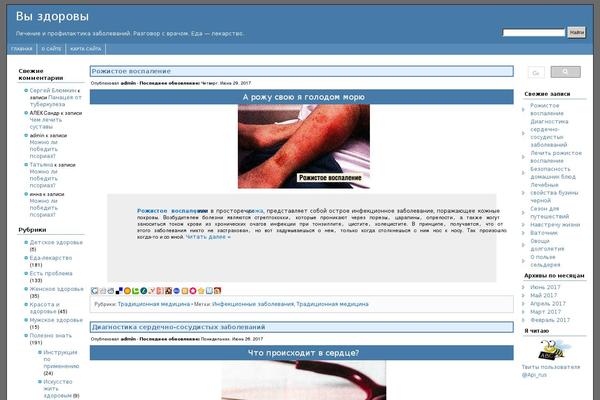 AndyBlue theme site design template sample
