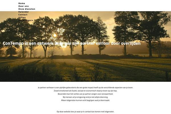 Site using Brizy-pro plugin