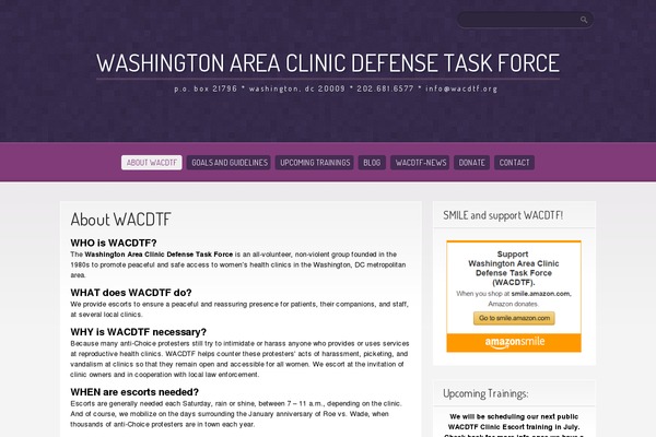 Purple Pro theme site design template sample