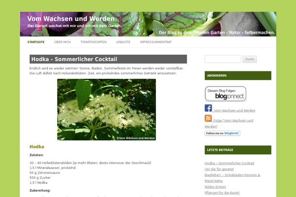 NuvioLiquid Green theme site design template sample