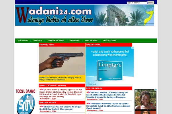 Site using Google-mp3-audio-player plugin