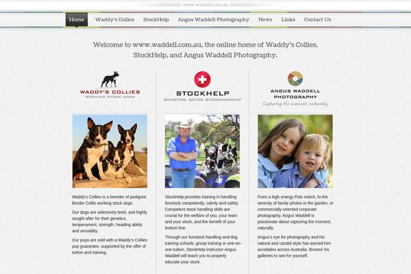 Magnificent theme site design template sample