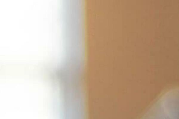 Twenty Seventeen theme site design template sample