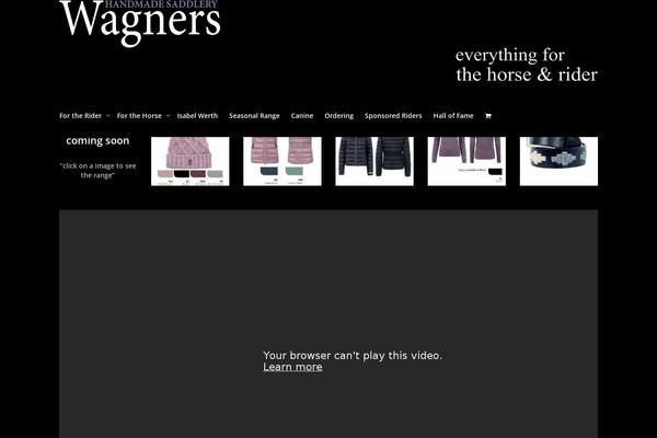 Site using Advanced-product-fields-for-woocommerce plugin