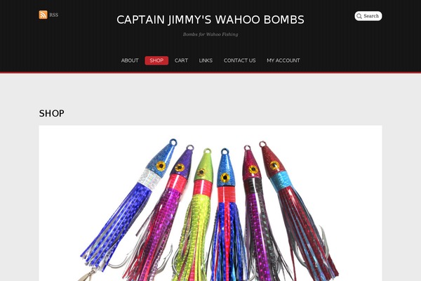 Pinshop theme site design template sample