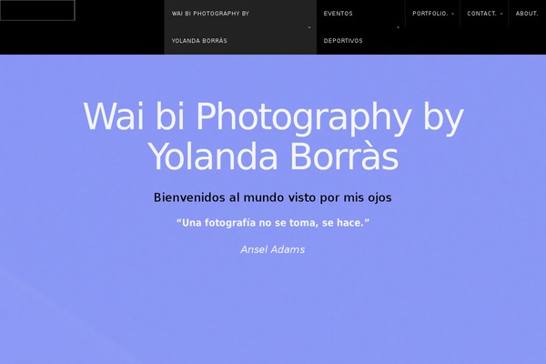Hayden theme site design template sample