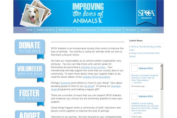 Canvas theme site design template sample