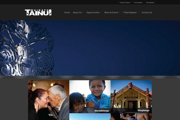 Site using Arscode-social-slider plugin