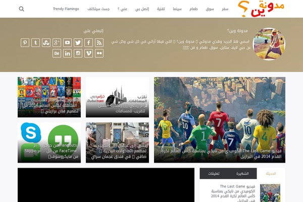 pratico theme websites examples