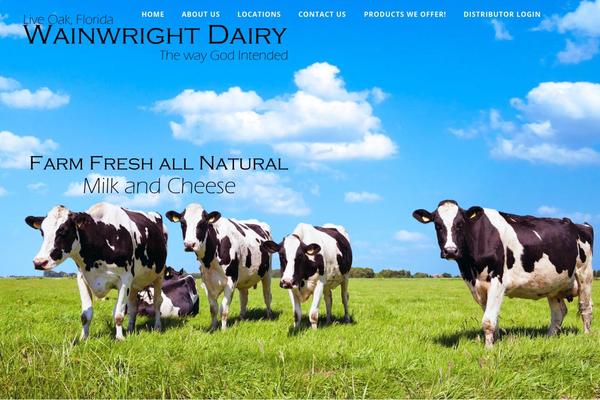 Optimizer theme site design template sample