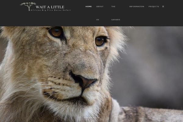 Site using Wpzoom-elementor-addons plugin