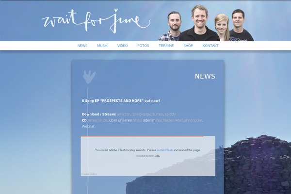 Site using MailChimp for WordPress plugin