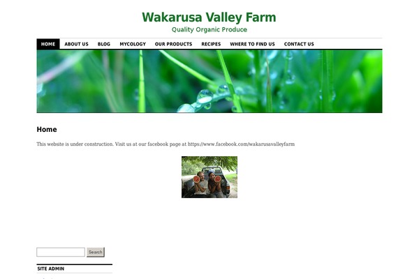 Coraline theme site design template sample