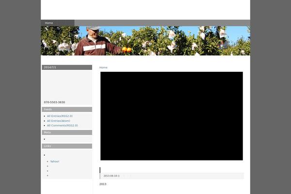 Wp.vicuna.exc theme site design template sample
