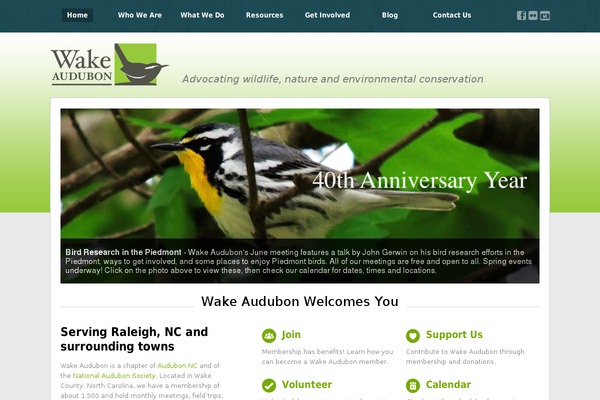 Advocate theme site design template sample