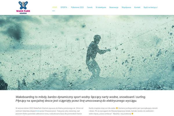 Salbii theme site design template sample